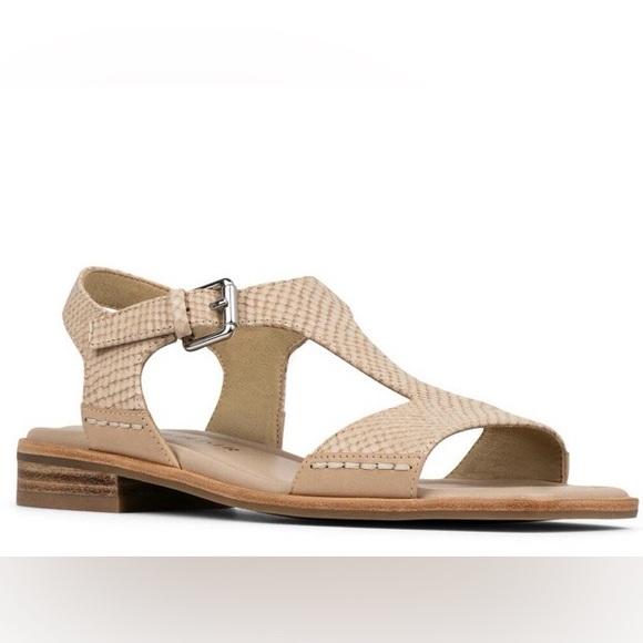 Donald J. Pliner Shoes - EUC Donald Pliner Dria T-Strap Tan and Gold Sandal (7)